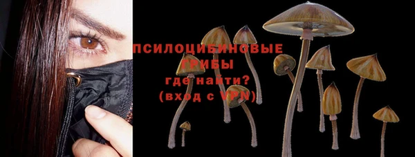 прущая мука Армянск