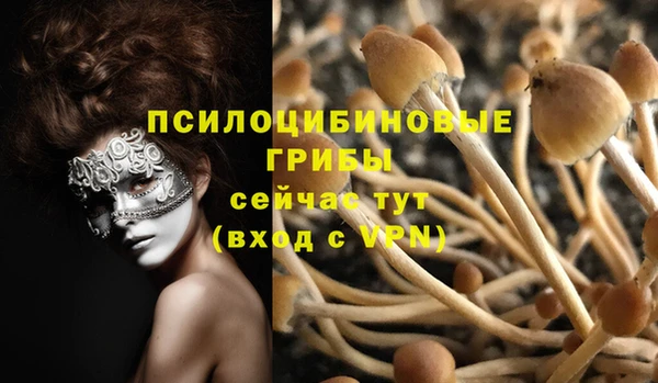 ECSTASY Аркадак